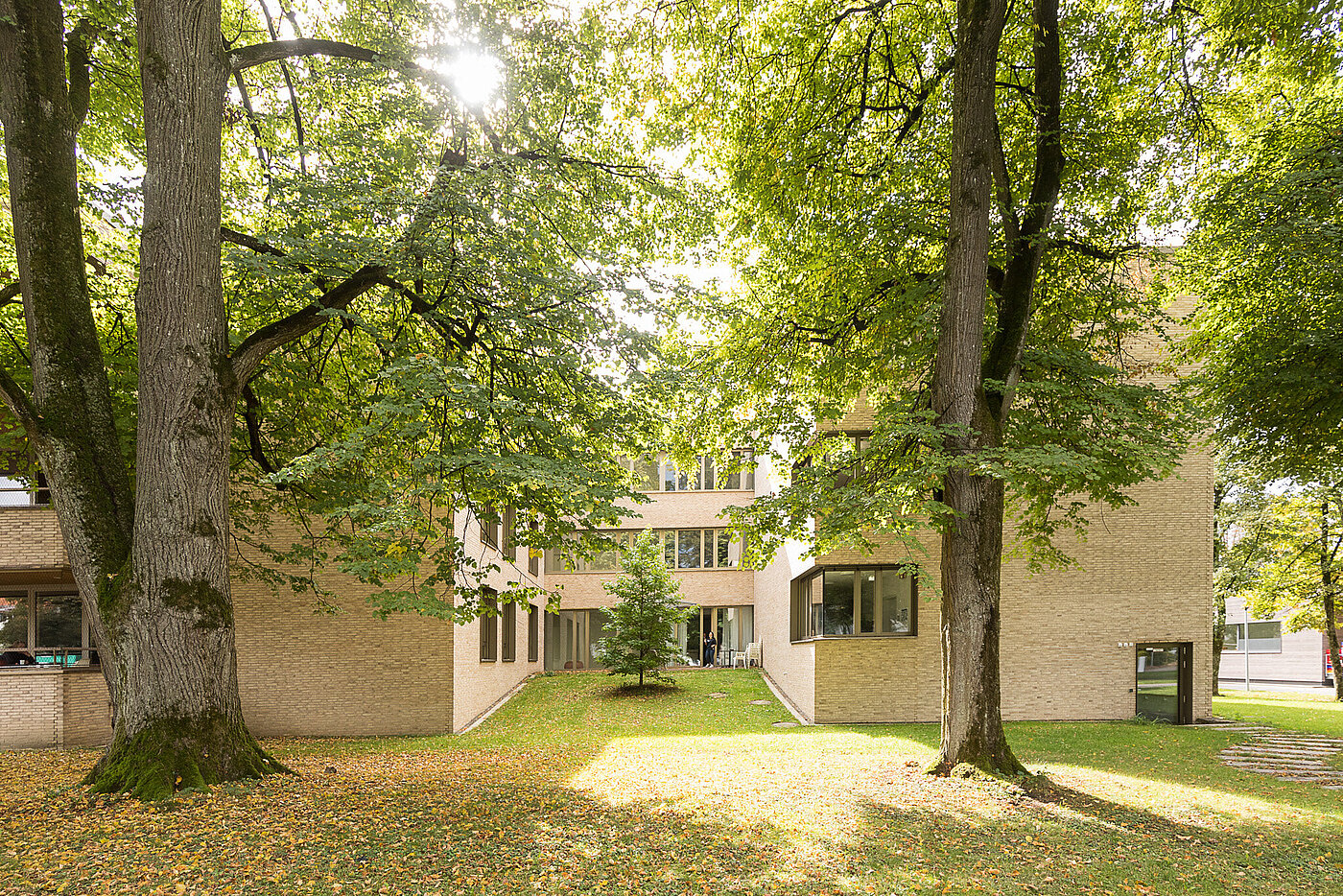 Ein mehrstöckiges Gebäude mit einer beigen Klinkerfassade vor dem zwei große alte Buchen stehen. 